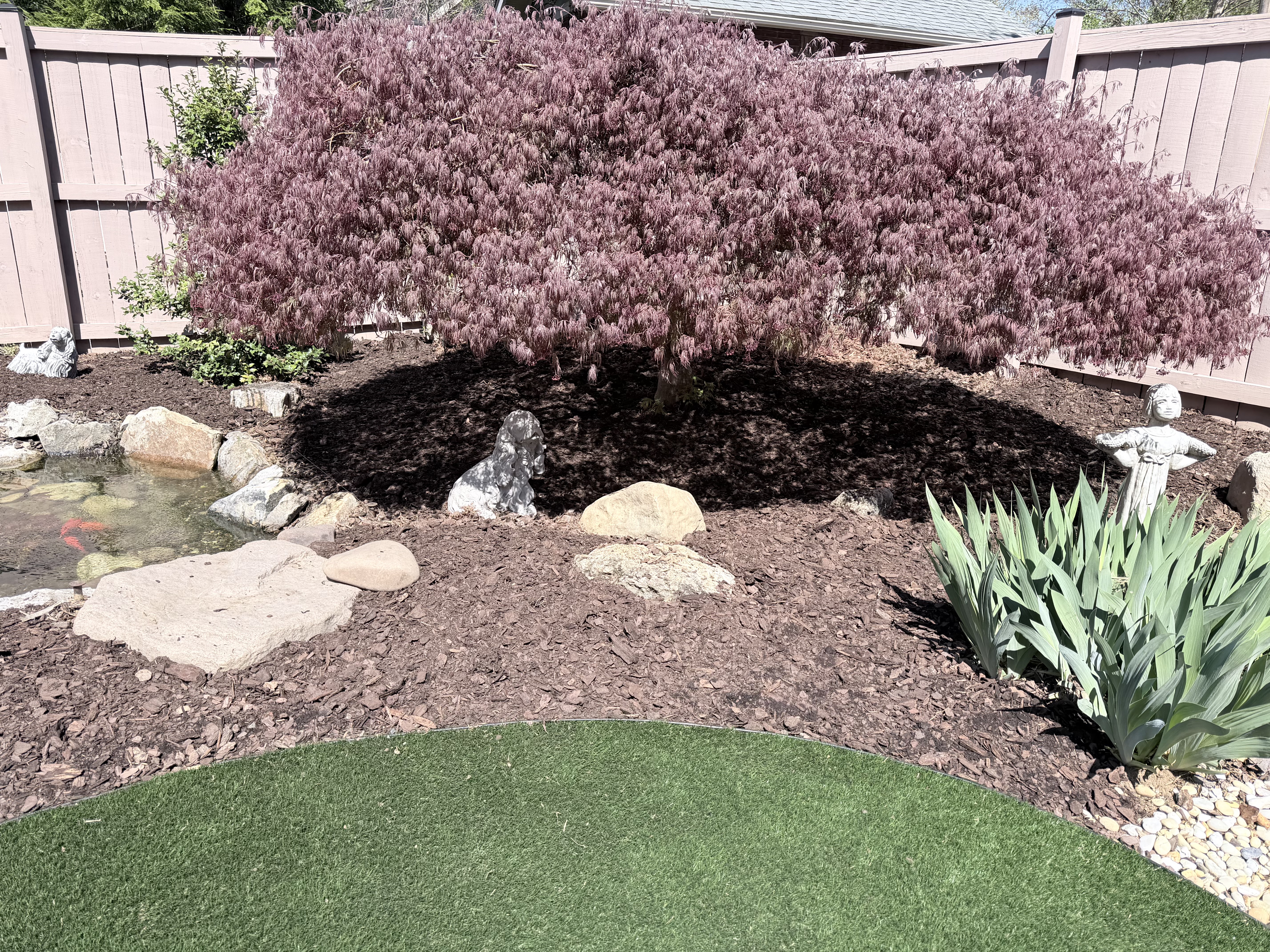 Landscape design with Japanese maple mulch bed and pond in Winchester VA