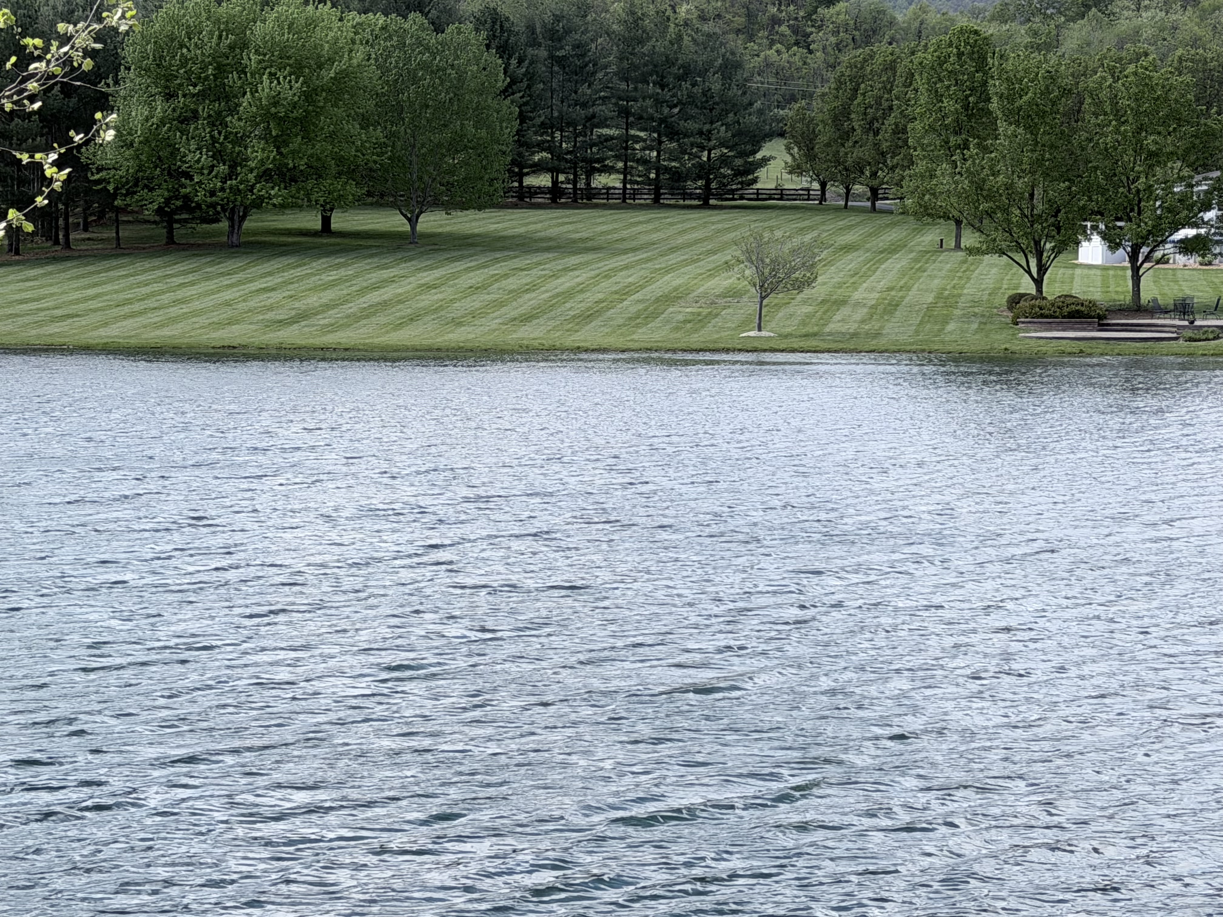 Lakefront lawn mowing with striping viewed from across the water in Winchester VA