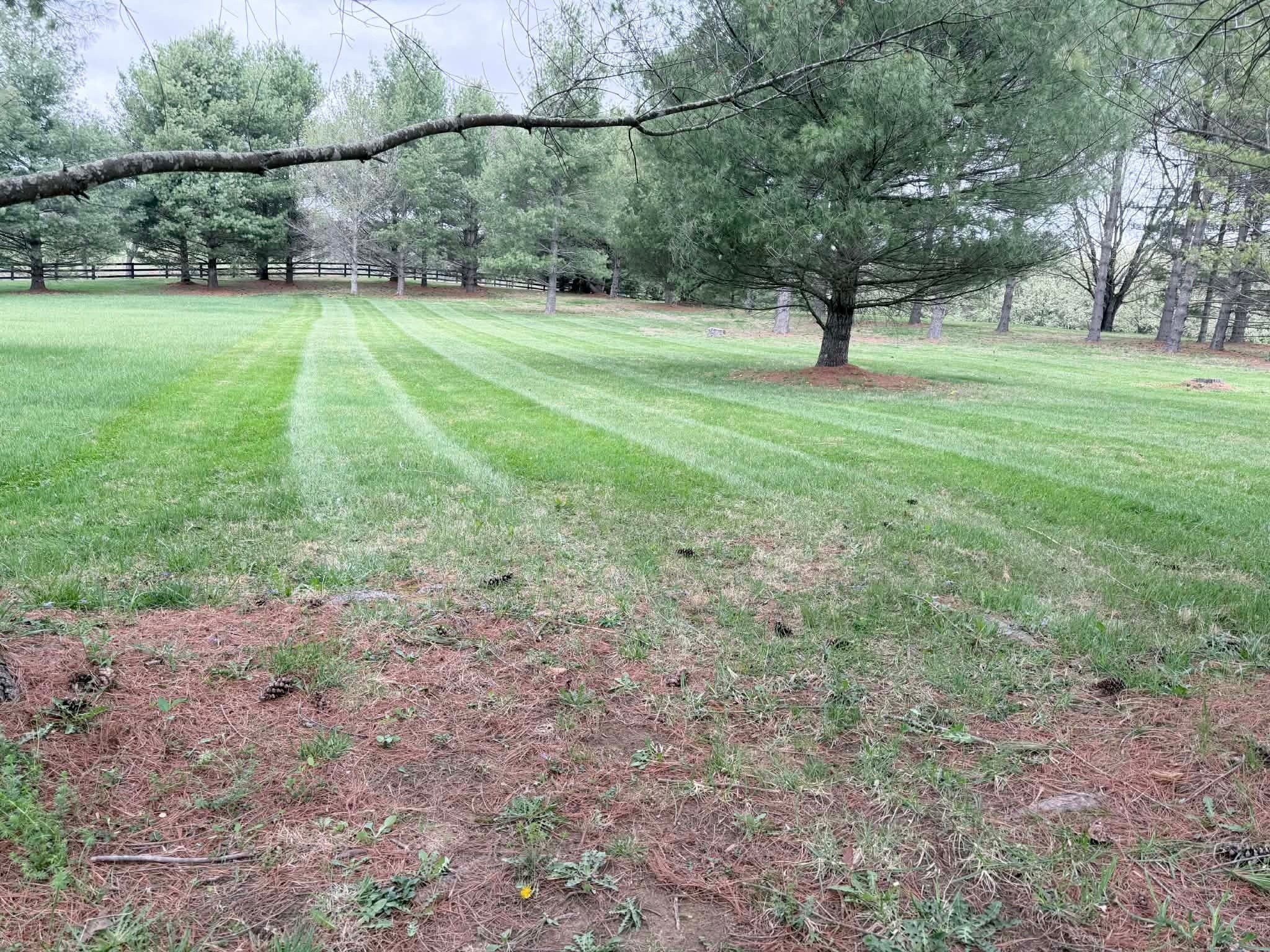Large property mowing through pine trees in Winchester VA
