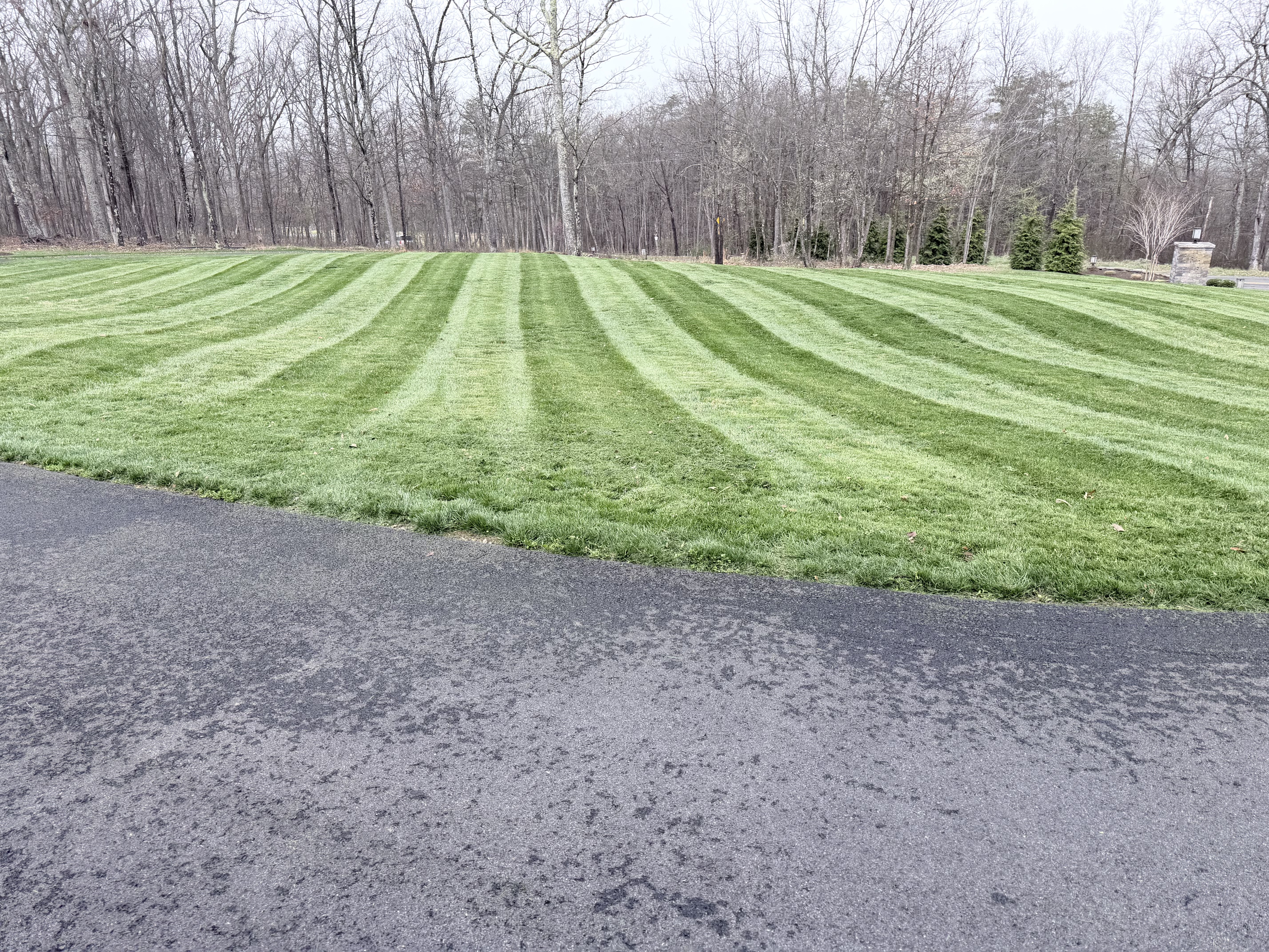 Professional lawn striping on large property with driveway in Winchester VA